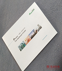 �� �ߙn����ӡˢ�S��